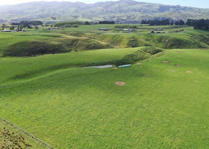  at 988 Spur Road, Ashhurst, Palmerston North, Manawatu / Whanganui