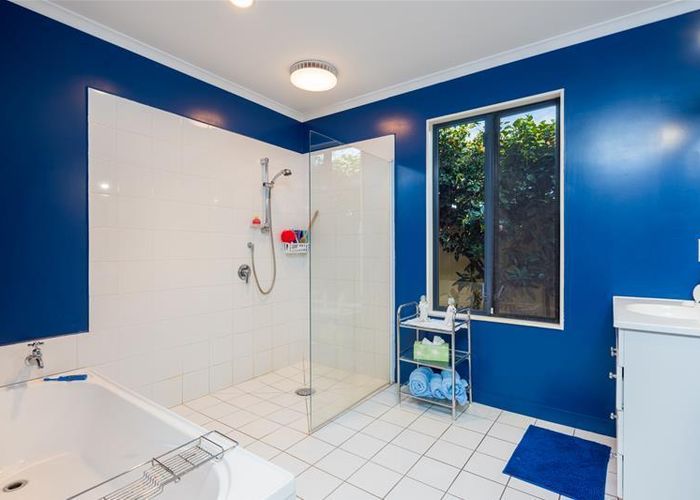  at 1 Cherrywood Park, Springlands, Blenheim