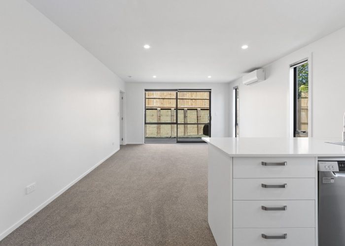  at 4/155 Rimu Street, Maeroa, Hamilton, Waikato