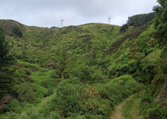  at 741 Makara Road, Makara-Ohariu, Wellington, Wellington