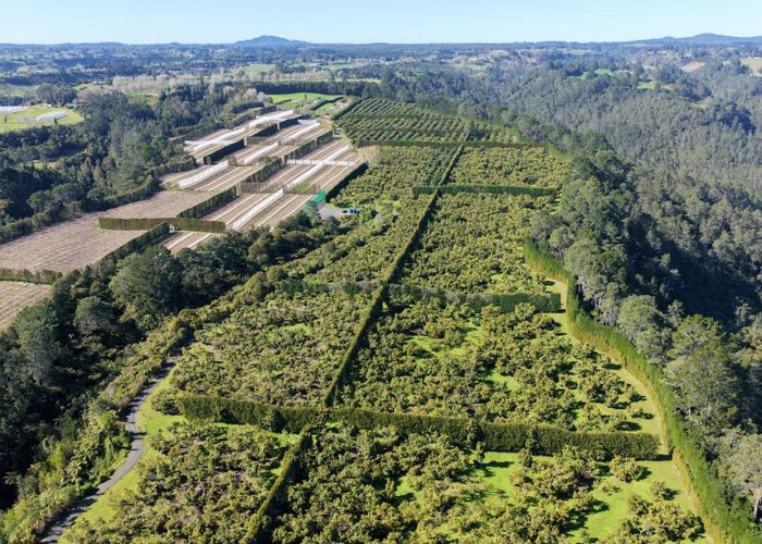  at 232C Williams Road, Pyes Pa, Tauranga, Bay Of Plenty