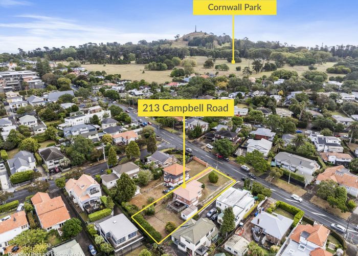  at 213 Campbell Road, Greenlane, Auckland City, Auckland