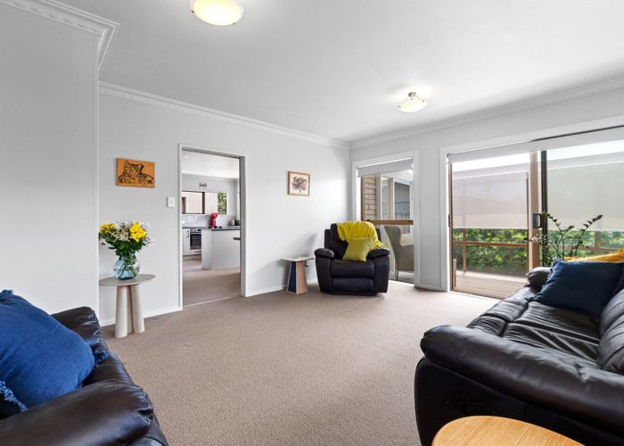  at 3/388 Devonport Road, Tauranga South, Tauranga