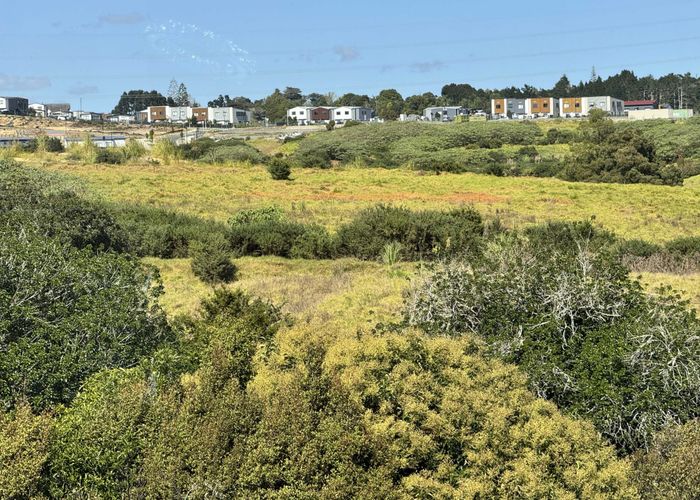  at 31 Hauhake Road, Flat Bush, Manukau City, Auckland
