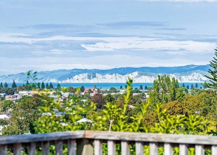  at 197 Russell Street, Whataupoko, Gisborne, Gisborne