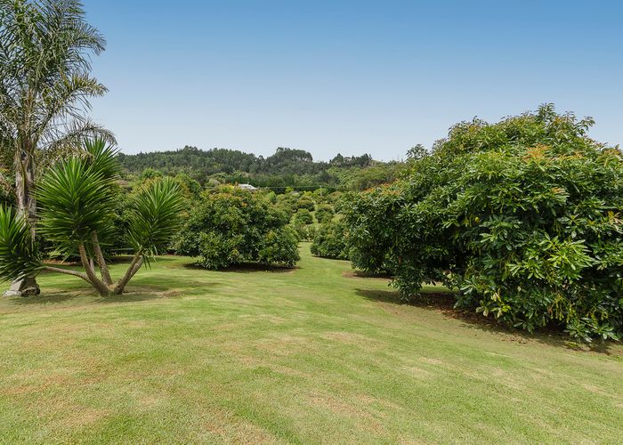  at 142 Munro Road, Minden, Tauranga