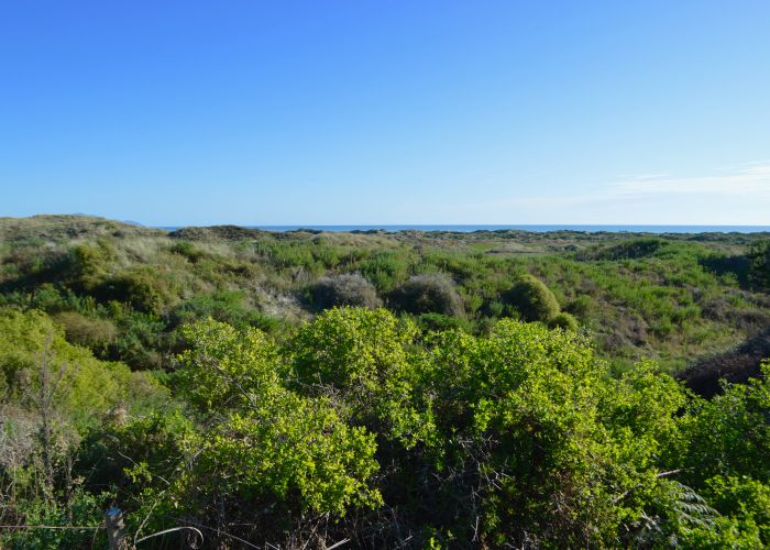  at 38 Uxbridge Terrace, Waikawa Beach
