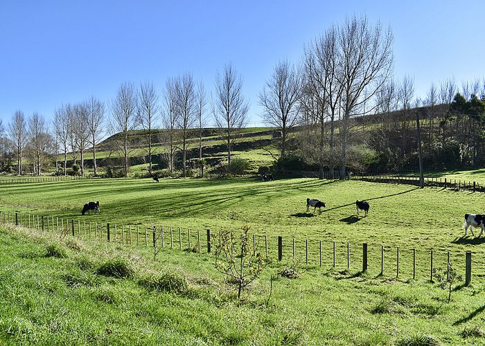  at 35 Potts Road, Levin