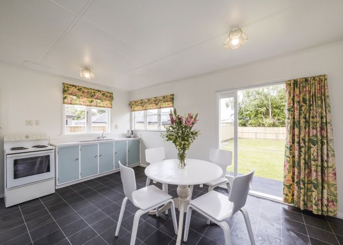  at 29 Windsor Street, Terrace End, Palmerston North