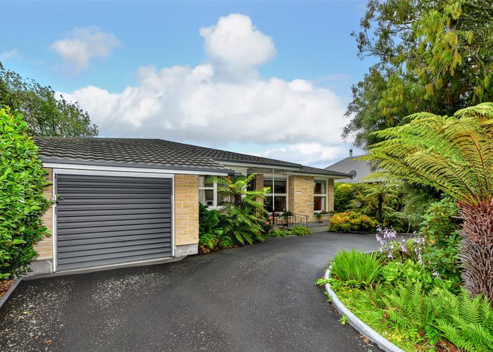  at 159 Ashgrove Terrace, Somerfield, Christchurch