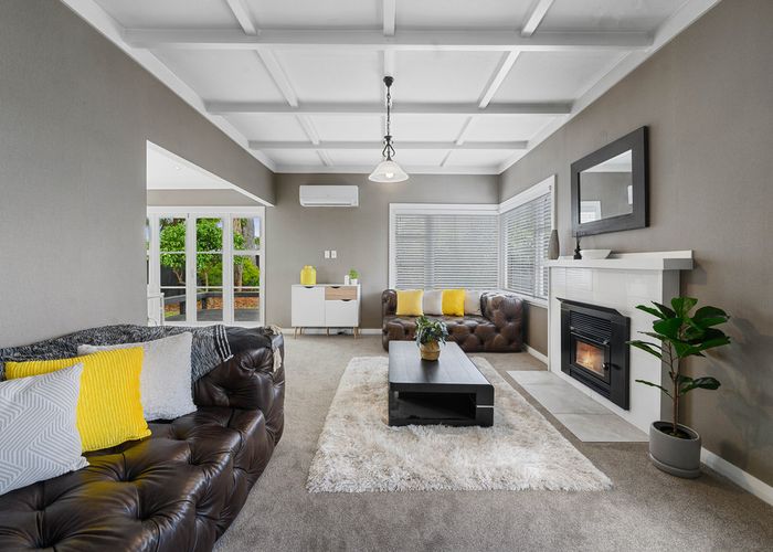  at 21 Larch Street, Victoria, Rotorua