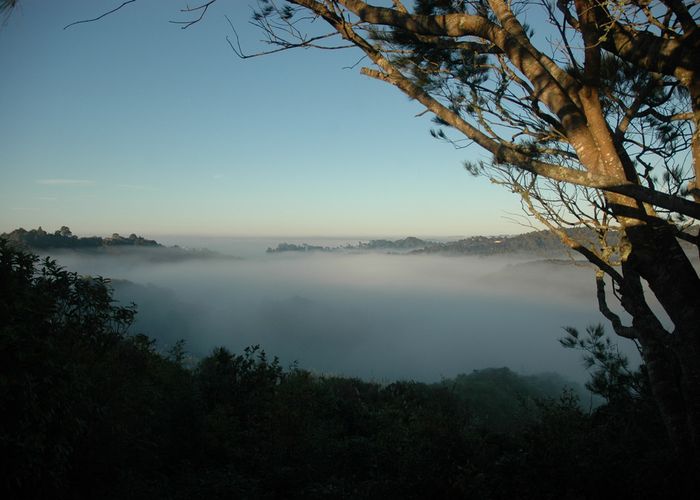  at 34 Grendon Road, Titirangi, Auckland