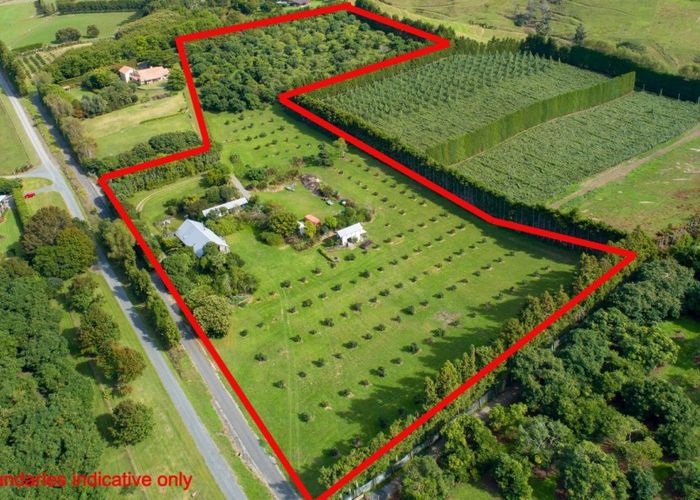  at 109A Plummer Road, Tauranga