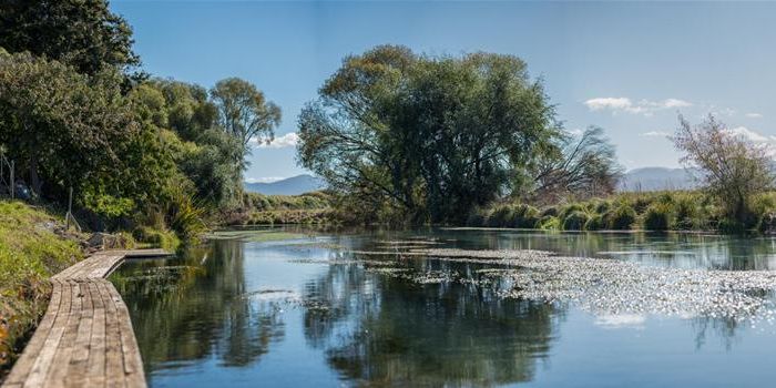  at 169 Budge Street, Riversdale, Blenheim