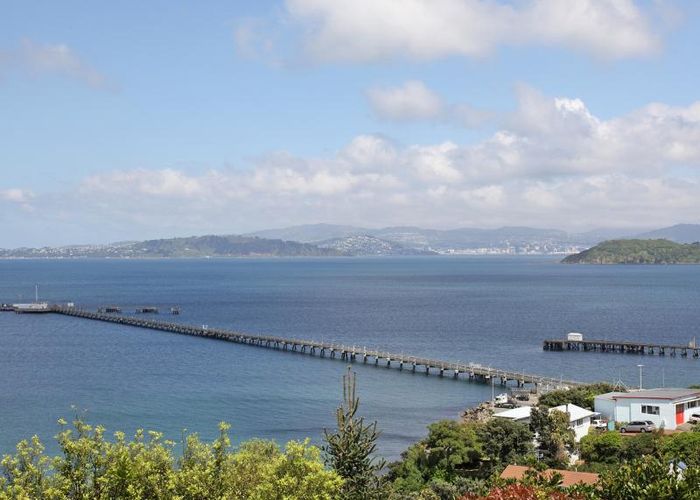  at 20 Howard Road, Point Howard, Lower Hutt