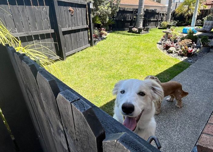  at 15 Te Ruru Way, Stanmore Bay, Rodney, Auckland