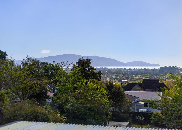  at 28 Kotare Street, Waikanae