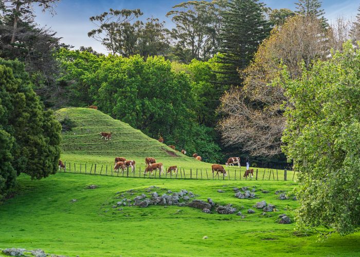  at 152C Campbell Road, Greenlane, Auckland City, Auckland