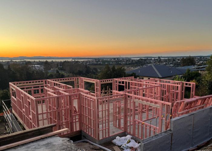  at 16 Dysart Road, Otumoetai, Tauranga, Bay Of Plenty