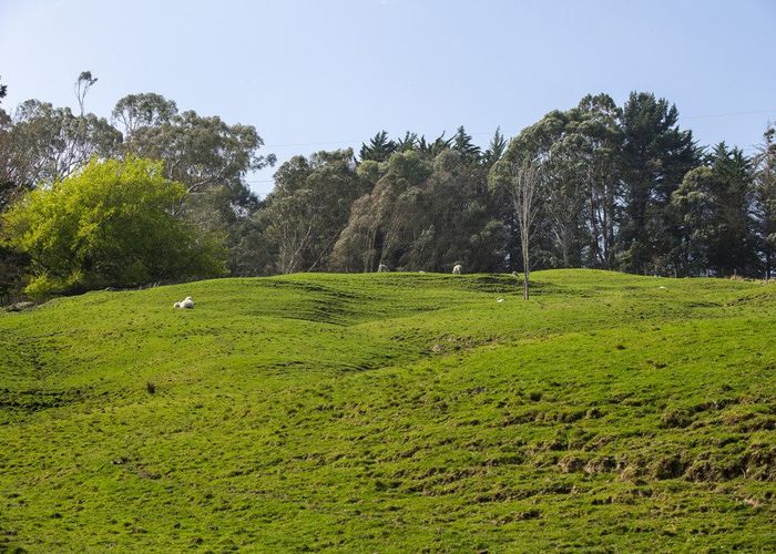  at 236 Valley Road, Mangapapa, Gisborne