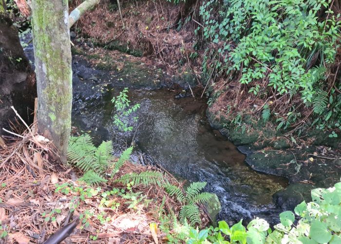  at Part 229 Hurford Road, Omata, New Plymouth, Taranaki