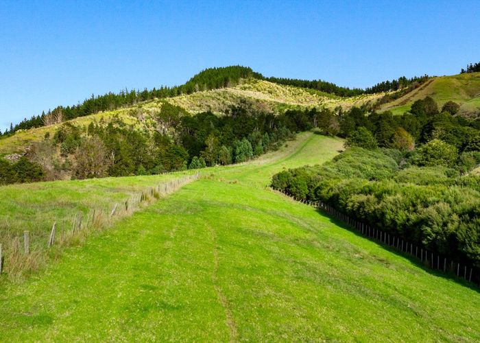  at 704 Whangaripo Valley Road, Whangaripo, Rodney, Auckland