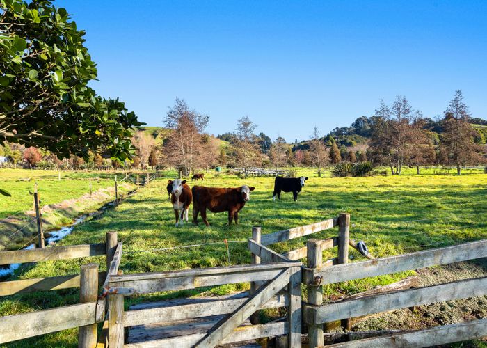  at 59 Harrison Road, Wainui