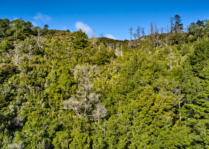 at 34 Ngahere Street, STOKES VALLEY, LOWER HUTT