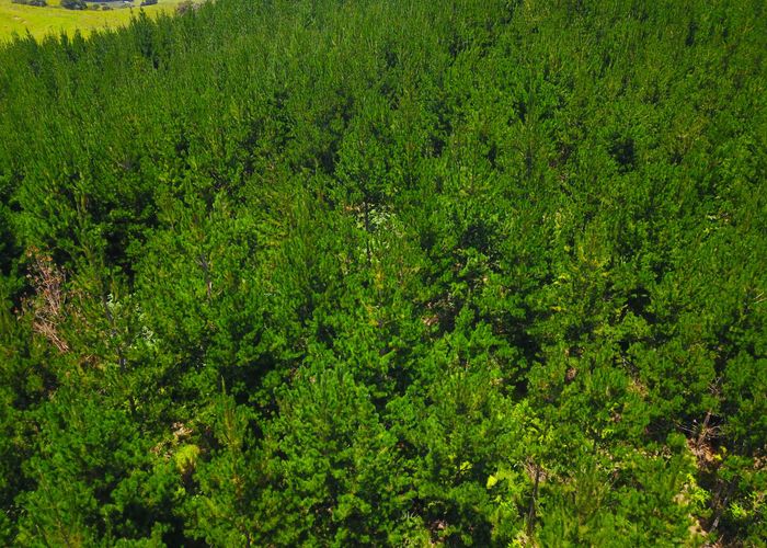  at 0 Broadwood Road, Broadwood, Kohukohu