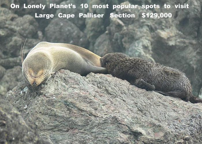  at 1 Mangatoetoe Grove, Cape Palliser