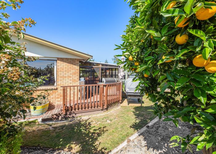  at 5 Shirtliff Street, Riversdale, Blenheim