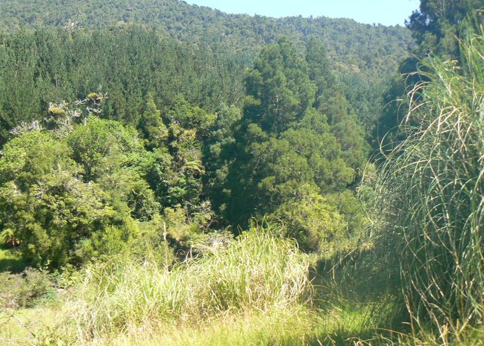  at 0 Takahue Saddle Rd, Broadwood, Far North, Northland