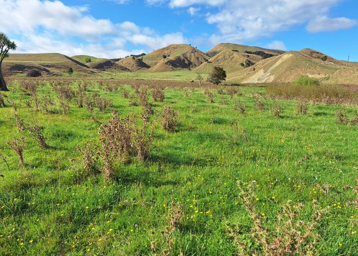  at Mangaone Road, Pongaroa, Tararua, Manawatu / Whanganui