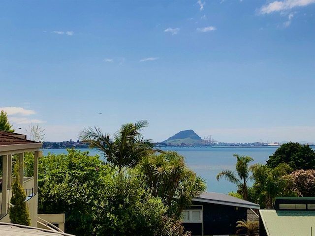  at 8b Anchorage Grove, Maungatapu, Tauranga, Bay Of Plenty