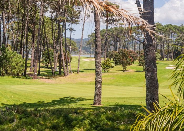  at 823 Matarangi Drive, Matarangi, Thames-Coromandel, Waikato
