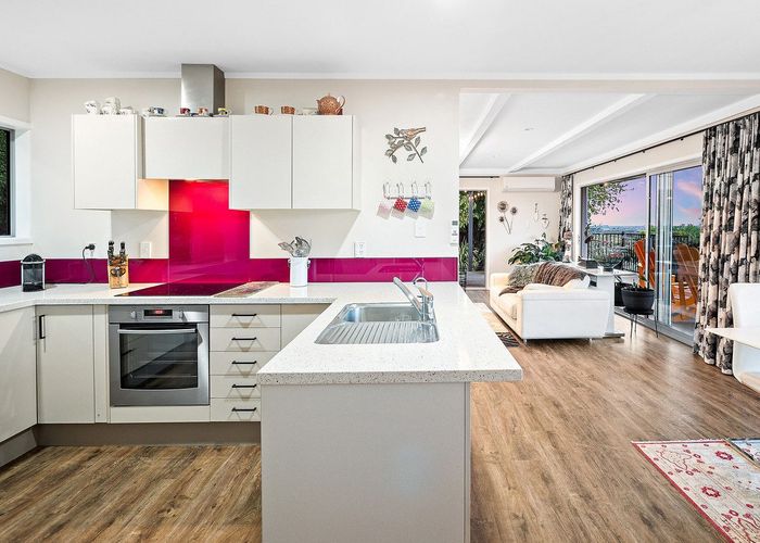  at 313 Youngson Road, Whakamarama, Western Bay Of Plenty, Bay Of Plenty