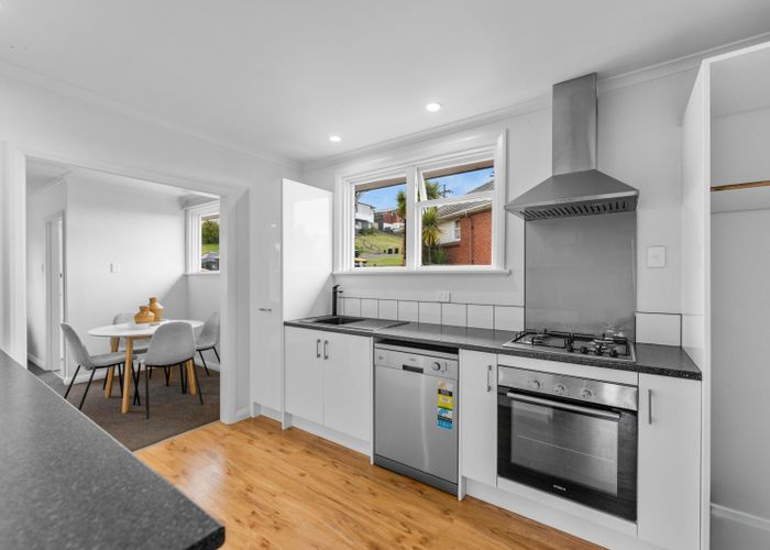 at 93 Cockerell Street, Brockville, Dunedin