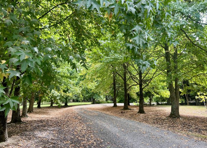  at 296 Punakitere Road, Taheke, Kaikohe