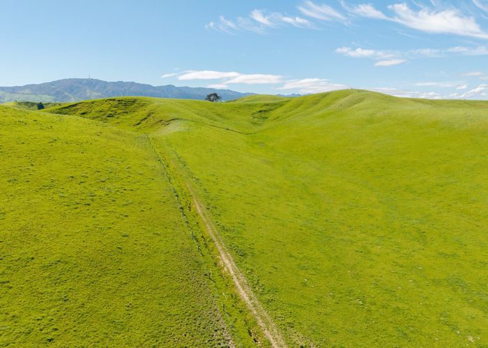  at 79816 State Highway 2, Woodville, Tararua, Manawatu / Whanganui