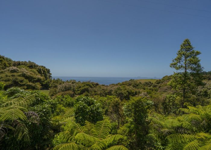  at 595 Boat Harbour Road, Whenuakite, Thames-Coromandel, Waikato