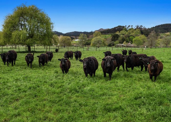  at 125B Paul Road, Whakatane, Whakatane, Bay Of Plenty