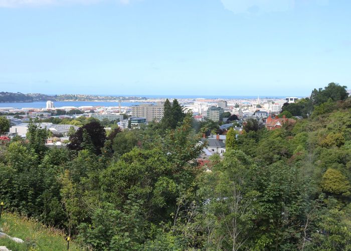  at 20C Lachlan Avenue, North Dunedin, Dunedin, Otago