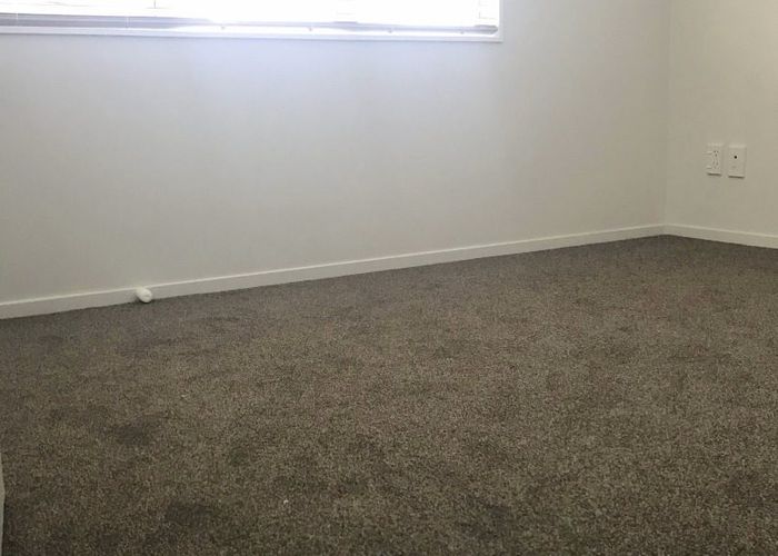  at 183c Massey Street, Frankton, Hamilton, Waikato