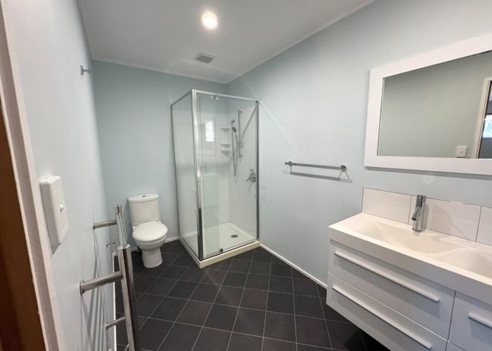 at 166 Victoria St West, Pukekohe, Franklin, Auckland