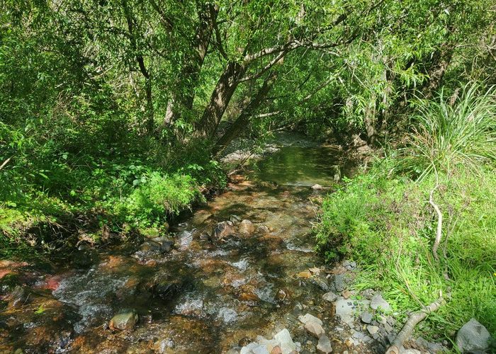  at 240 Sladdens Bush Road, Coopers Creek, Waimakariri, Canterbury