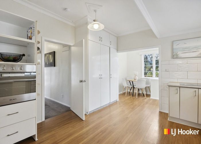  at 37 Birchfield Avenue, North East Valley, Dunedin, Otago