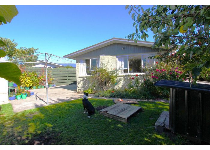  at 21 Shirtliff Street, Riversdale, Blenheim