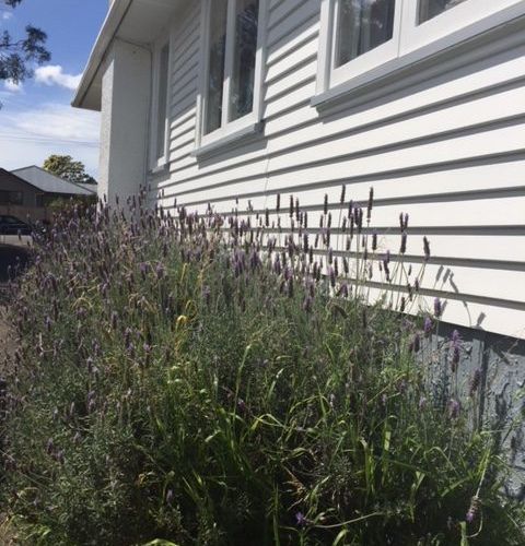  at 28 Trigg Rd, Huapai, Rodney, Auckland