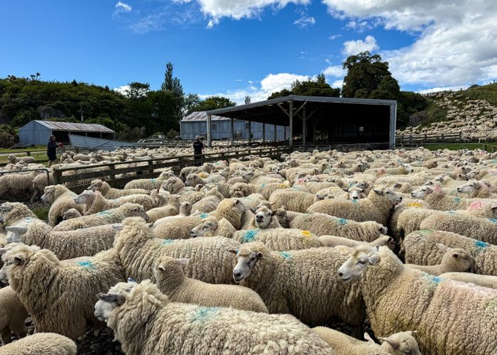  at 21 Lillburn Valley Road, Tuatapere, Southland, Southland