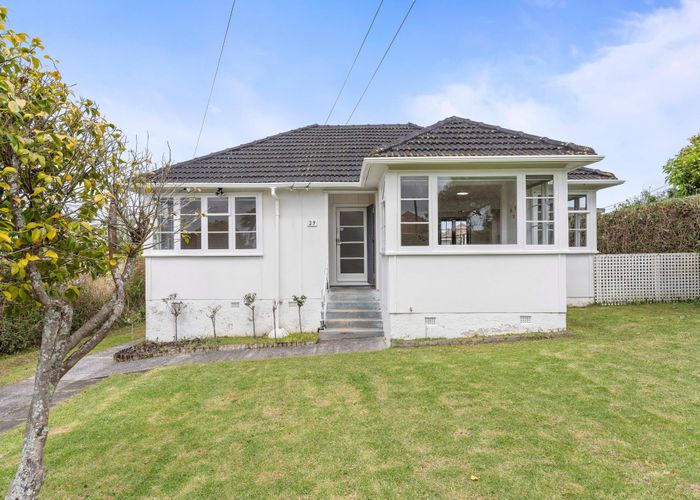  at 29 Hobson Drive, Panmure, Auckland